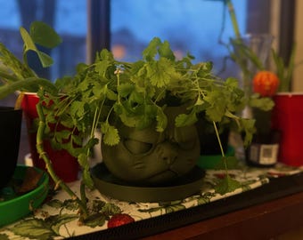 3D Printed Grumpy Cat Planter, Indoor Succulent Planter