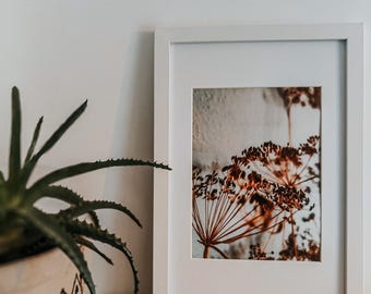 Floral