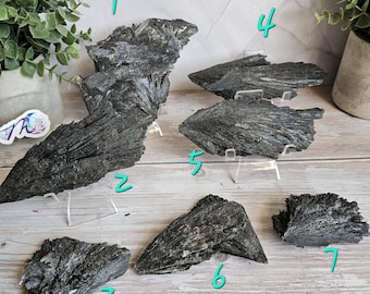 Raw Black Kyanite Fans