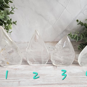 May include: Four clear quartz crystal teardrop-shaped sculptures. Each crystal is transparent with internal inclusions. The crystals are numbered 1 through 4 with teal-colored numbers. Green leafy plants are in the background.