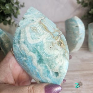May include: A large, polished piece of blue aragonite with white and tan veining. The stone has a unique, organic shape and a smooth, glossy surface. The aragonite is held in a hand, with other pieces visible in the background.