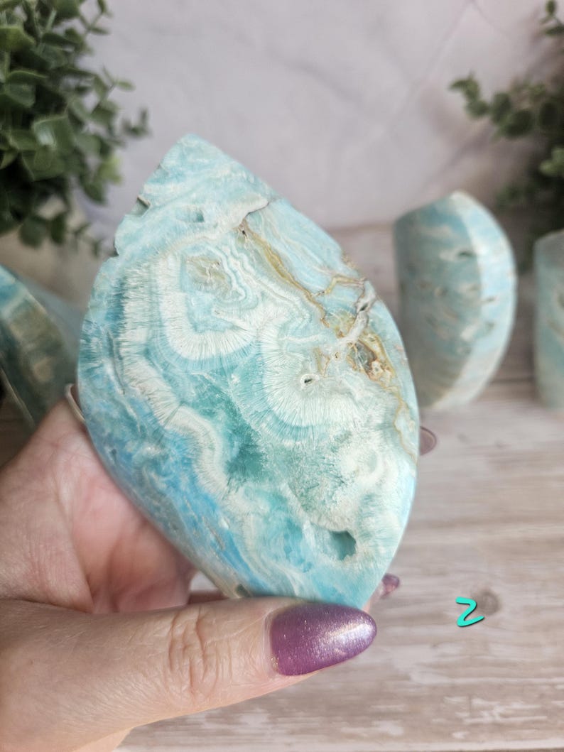 May include: A large, polished piece of blue aragonite with white and tan veining. The stone has a unique, organic shape and a smooth, glossy surface. The aragonite is held in a hand, with other pieces visible in the background.