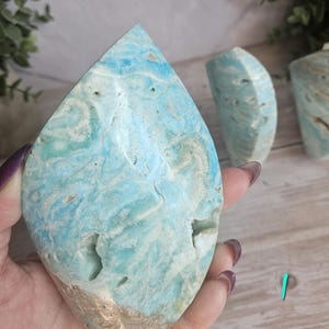 May include: A large, teardrop-shaped blue aragonite crystal with white and tan veining. The polished stone has natural holes and a rough, unpolished base. Two additional aragonite pieces are visible in the background.