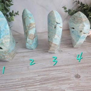 May include: Four blue and tan stone sculptures with unique shapes and textures. The stones have a marbled appearance with varying shades of blue and tan. The sculptures are displayed on a light wood surface with green foliage in the background.