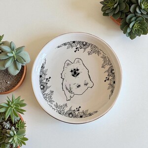 May include: A white ceramic plate with a gold rim, featuring a black and white illustration of a Pomeranian dog. The plate is decorated with a floral border. The plate is surrounded by potted succulents.