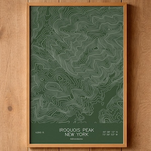 May include: A framed wall art print featuring a dark green topographic map of Iroquois Peak in New York. The print displays white contour lines and text that reads Iroquois Peak New York, 4,840 ft, and coordinates 44 08 12 N 73 59 53 W.