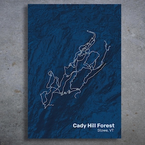 May include: A dark blue topographic map print of Cady Hill Forest in Stowe, VT. The map features white contour lines and the text "Cady Hill Forest Stowe, VT" at the bottom. The print is displayed against a gray background.