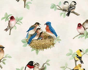 Beautiful Birds Cotton Quilt Fabric by Elizabeth’s Studio