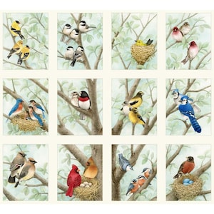 Beautiful Birds Quilt Panel Elizabeth&#39;s Studio - Designer: Tracy Lizotte - ELS4309-CRE - 23&quot; x 21&quot;