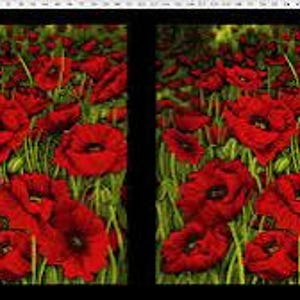 Clothworks - Poppy Poetry - 24&quot; Large Red Poppies Panel, Black