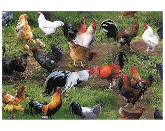 SALE!  Chickens Fabric - Elizabeth&#39;s Studio Chicken Farm Animal 354 Green - Cotton Quilt Fabric