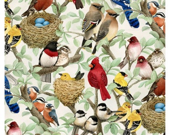Beautiful Birds Cotton Quilt Fabric by Elizabeth’s Studio