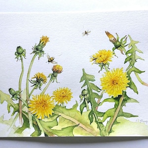 Acquerello originale Fiori di campo Tarassaco Erbe Natura Immagine Regalo Arte Insetti
