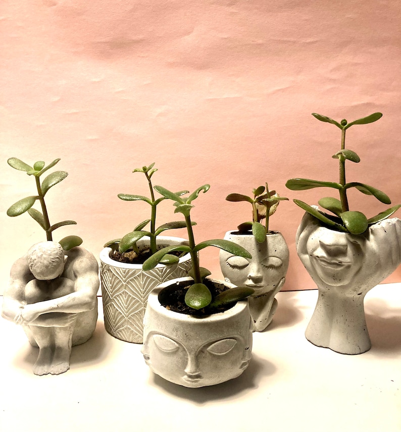 Concrete planter zen planting mini pots, modern decor, succulent pot, handmade, rustic, minimalist planter, wedding favour, gift image 1