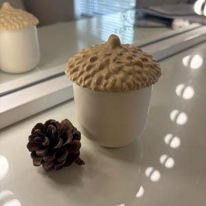 May include: An acorn-shaped container with a beige textured lid and a white base. A small pine cone is next to the container. The container is on a white surface.