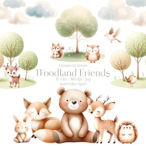 Animais da floresta em aquarela, clipart, berçário na floresta, clipart de animais da floresta, decoração de berçário, bebê urso PNG, clipart de chá de bebê