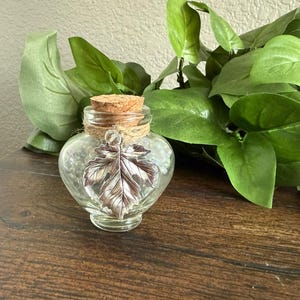 May include: A clear glass jar with a cork stopper and a silver leaf charm. The jar is filled with small, light-colored beads. The jar is tied with twine. Green leaves are in the background.