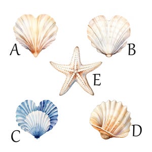 May include: Watercolor illustration of various seashells and a starfish. The seashells are in shades of beige, white, and blue. The starfish is white with brown speckles. Letters A, B, C, D, and E are next to each shell.