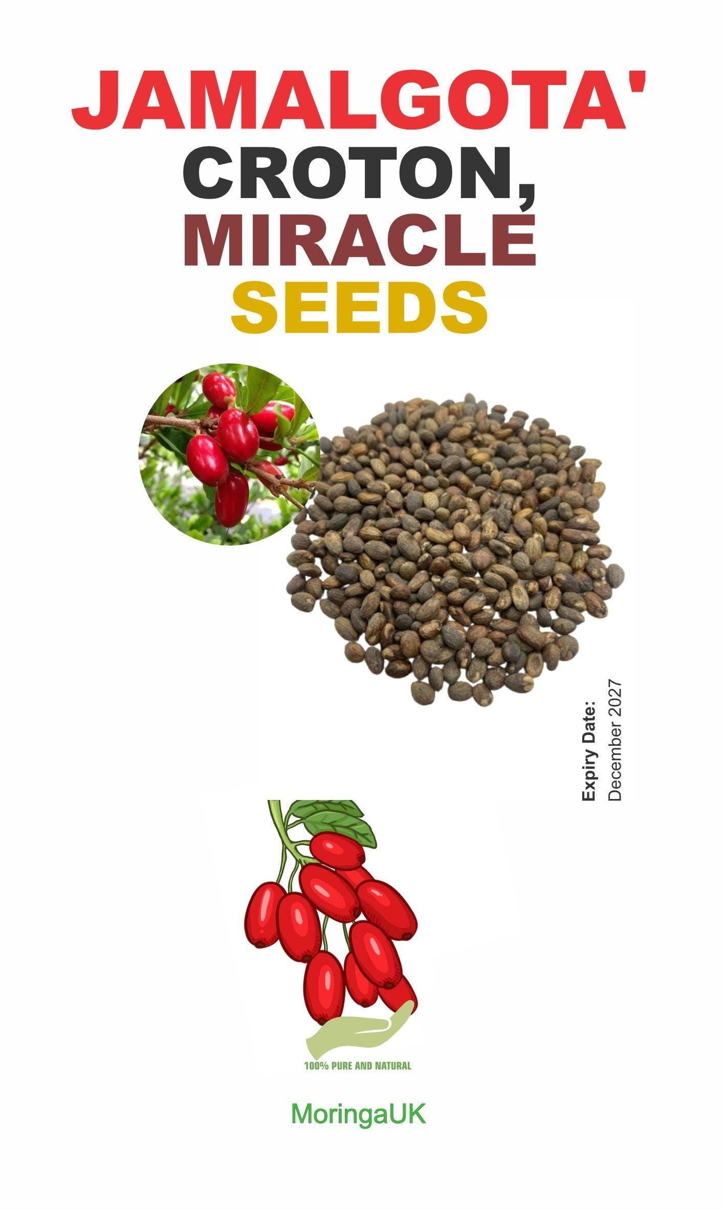 Iboga Seeds - Etsy Canada