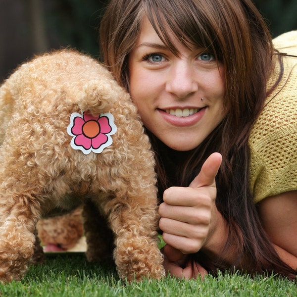 Rear Gear... Butt covers for your Cat and Dog.....