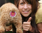 Dice Rear Gear butt covers for your dog or cat
