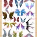 Printable Collage Sheet Multi Colored Butterfly Wings Vol 1 - Etsy