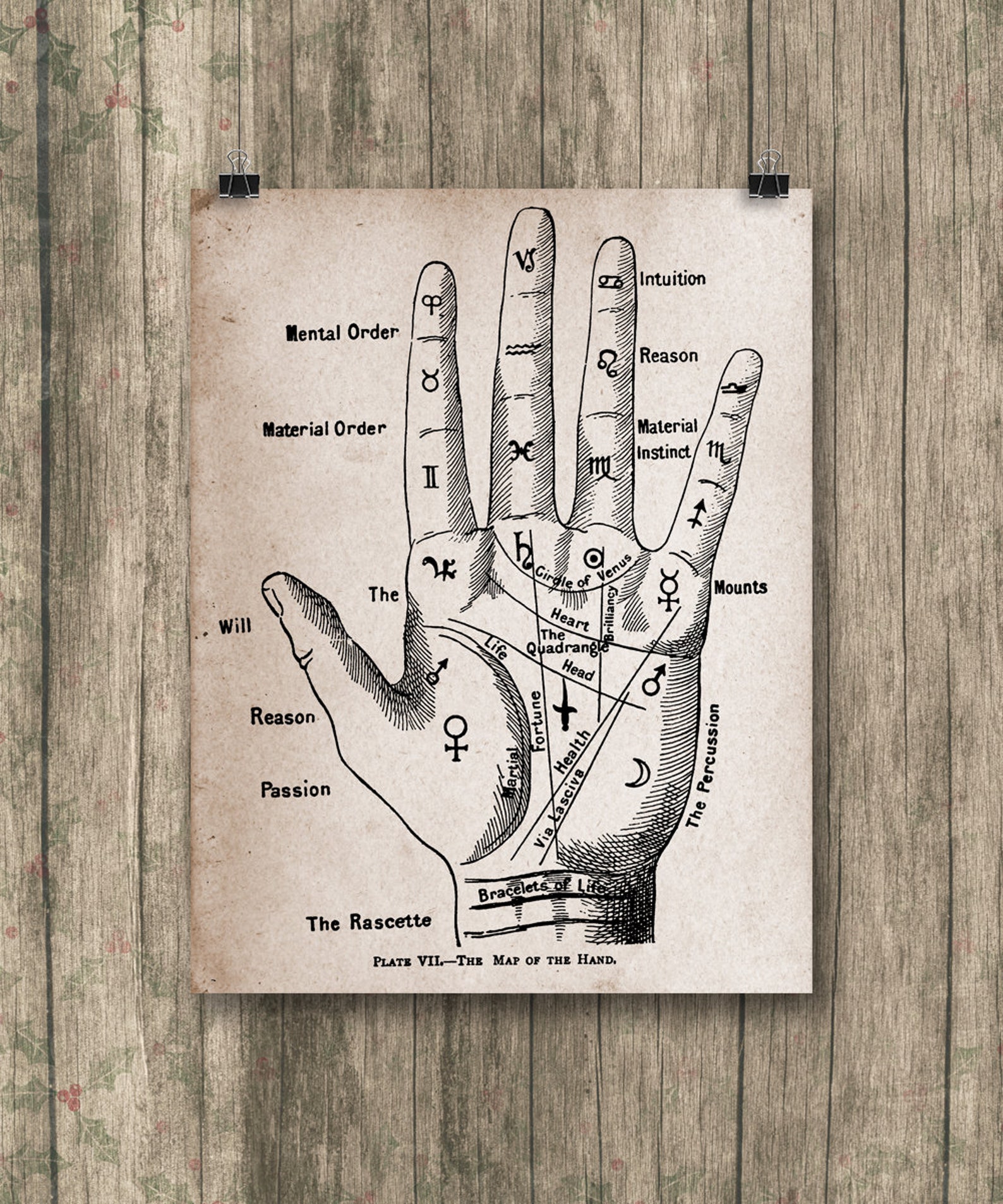 Palmistry Fortune Teller Antique Style Digital Art Print Home Wall ...