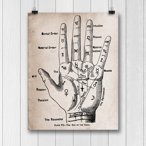 Palmistry Fortune Teller Antique Style Digital Art Print Home Wall ...
