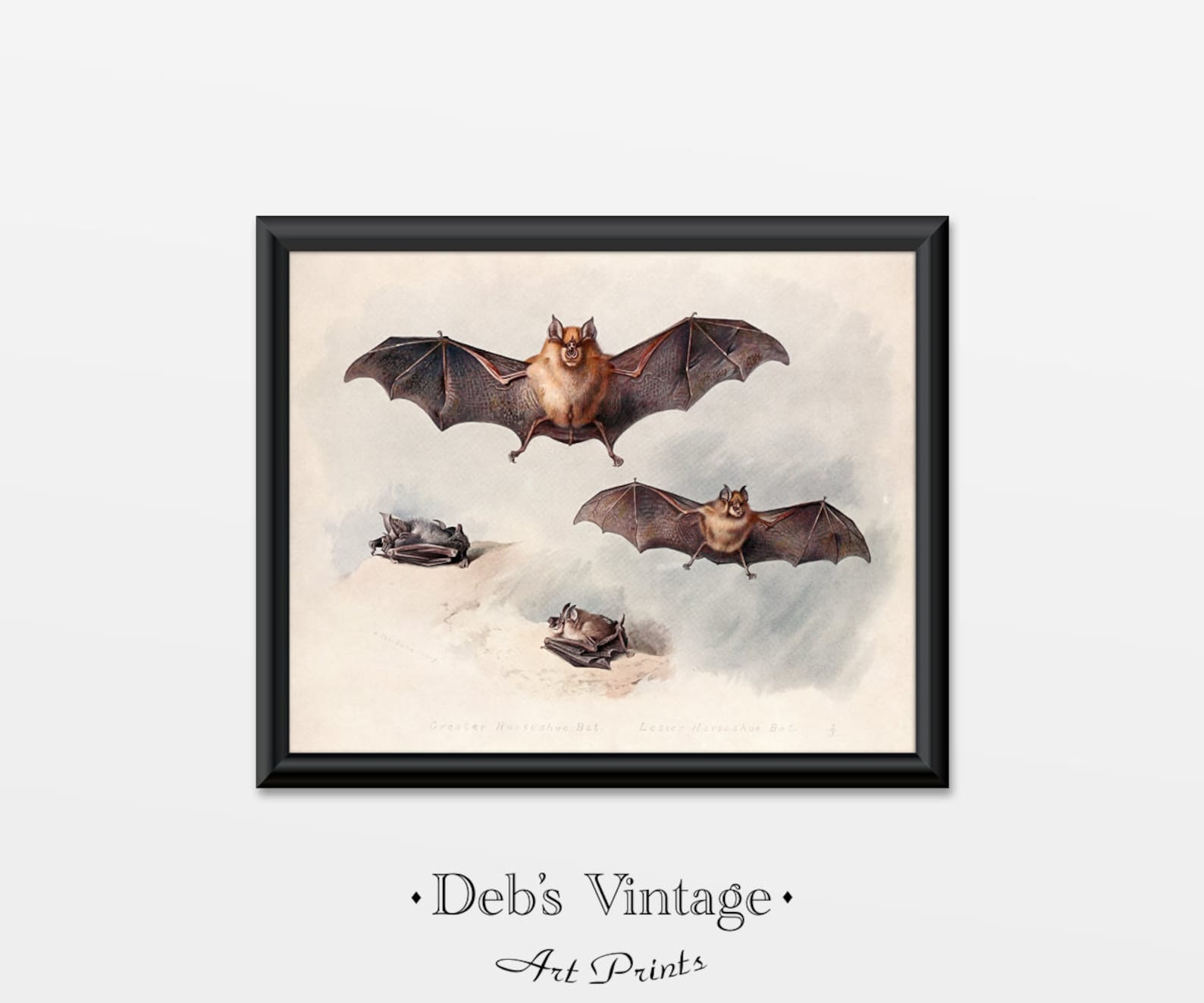 Flying Bats Art Print Home Decor Halloween Natural History Etsy