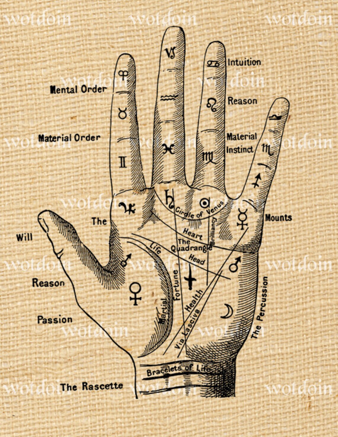 Fortune Teller Palmistry Hand Digital Image Transfer for Pillows Cards ...