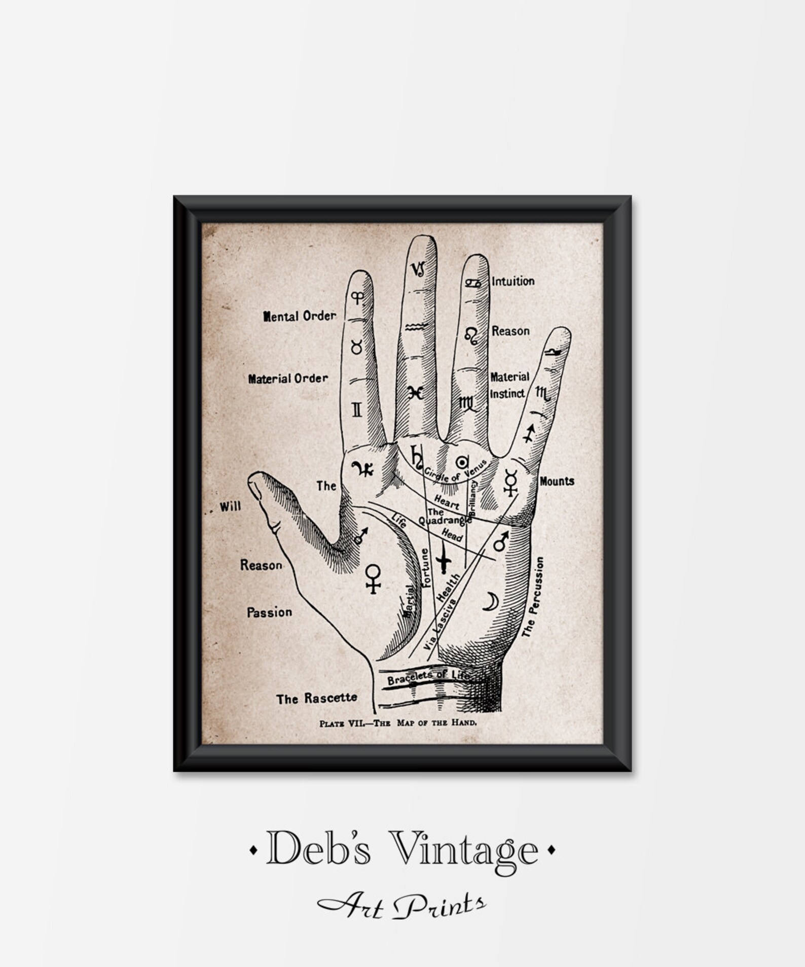 Palmistry Fortune Teller Antique Style Digital Art Print Home Wall ...