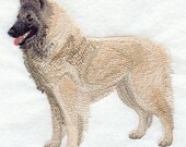 BELGIAN SHEPHERD (TERVUREN) - Machine Embroidery Quilt Blocks (AzEB)