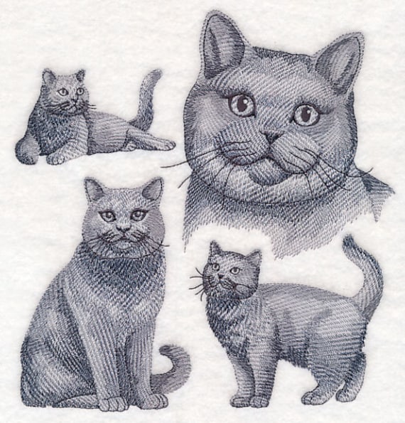 British Shorthair Cat Sketch Machine Embroidered Quilt Block Etsy