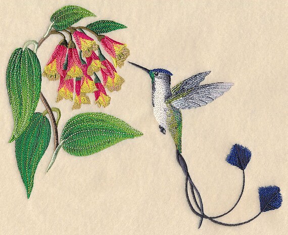 MARVELOUS SPATULETAIL HUMMINGBIRD Machine Embroidery Quilt Blocks azeb -  Etsy