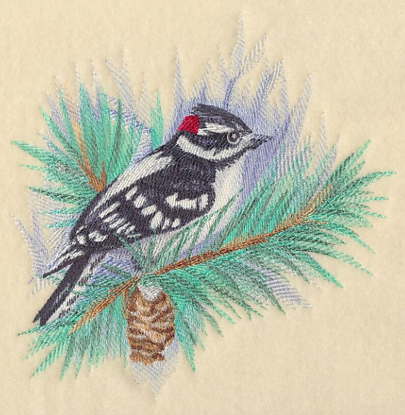 DOWNY WOODPECKER In WATERCOLOR Machine Embroidered Quilt Block AzEB