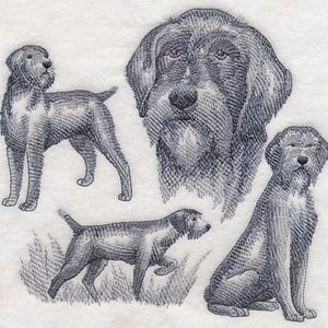 May include: Embroidered design featuring four detailed sketches of a dog, showcasing different poses. The artwork is in shades of gray and white, with a textured, cross-hatch style. The dog appears to be a Wirehaired Pointing Griffon.