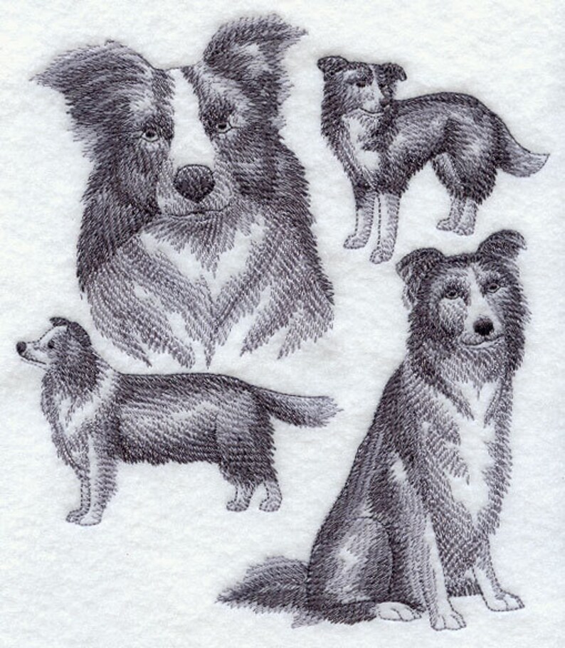 Border collie sketch machine embroidery quilt blocks azeb  etsy