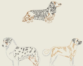 DOGS SHOW STANCE #1 (5inch) - 10 Machine Embroidery Designs Instant Download 5x5 hoop (AzEB)