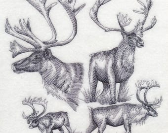 CARIBOU SKETCH - Machine Embroidered Quilt Block (AZEB)