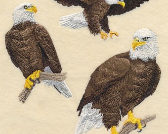 BALD EAGLE COLLAGE - Machine Embroidery Quilt Block (AzEB)