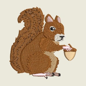 May include: A brown squirrel with a bushy tail holding a brown acorn in its paw.