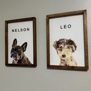 Custom 12x16 Cartoon Pet Framed Canvas