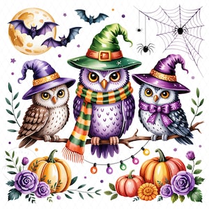 Halloween Owl Trio PNG, Halloween Clipart, Cute Owls with Pumpkins, Fall Owl Sublimation Design, Spooky Animal Clipart, Digital Download