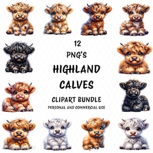 Highland Calves Clipart Bundle, 12 High Quality Transparent PNGs, Personal & Commercial Use, Printables, Sublimation, Digital Download,