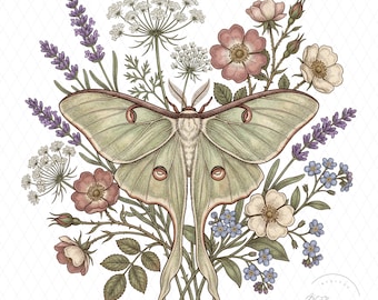 Polilla Luna Floral Vintage PNG, Clip Art de Polilla Botánica, Flores Silvestres Cottagecore, Diseño de Sublimación Estética de la Naturaleza, Arte de Jardín Mágico