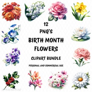 Paquete de imágenes prediseñadas de flores del mes de nacimiento, 12 PNG transparentes de alta calidad, para uso personal y comercial, imprimibles, descarga digital