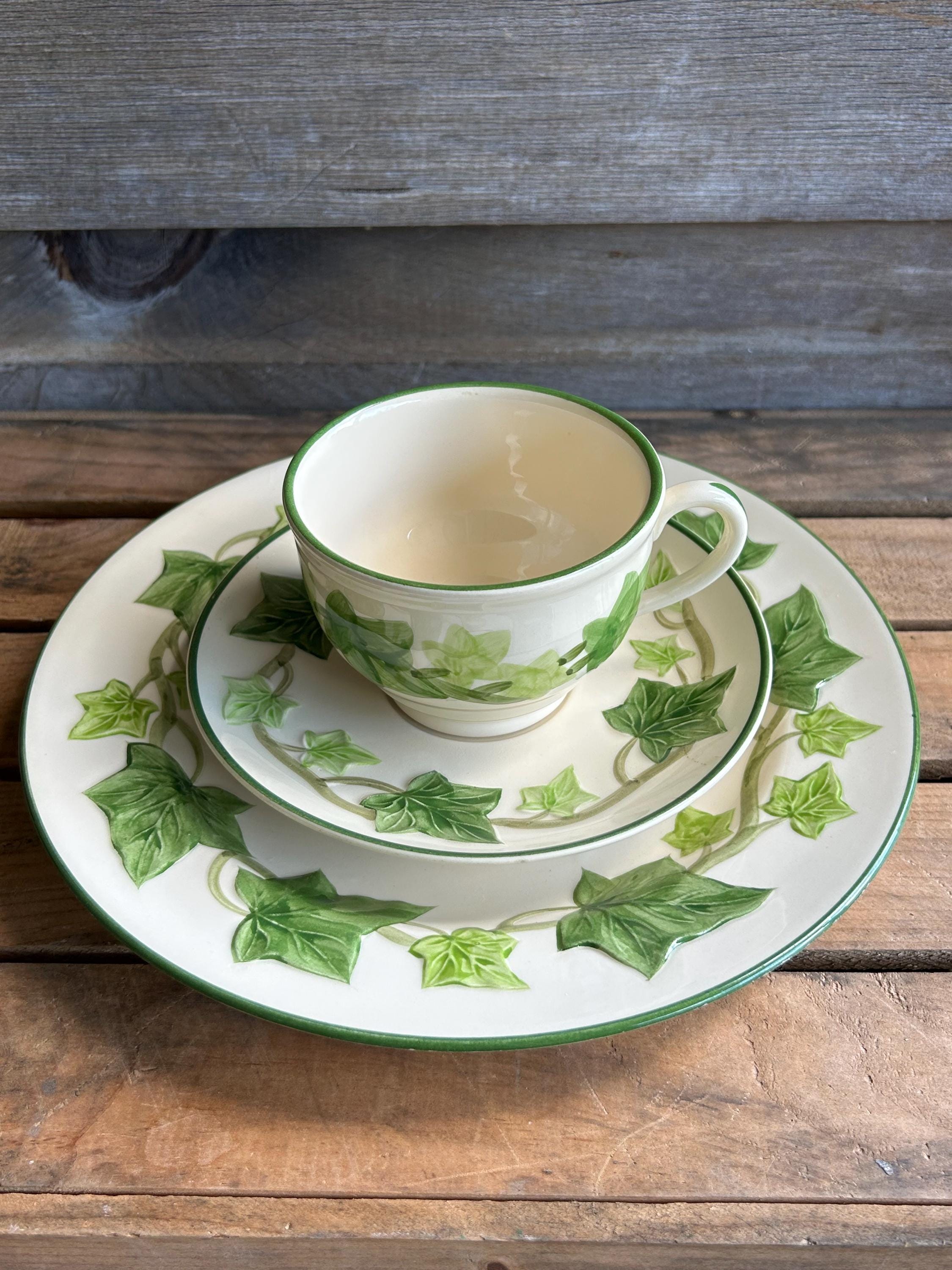 1950s Franciscan Ivy