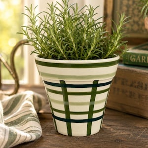 May include: A white ceramic planter with green stripes and a grid pattern, filled with vibrant green rosemary. The pot sits on a wooden surface, with a striped cloth and a watering can in the background. A smaller terracotta pot is also visible.