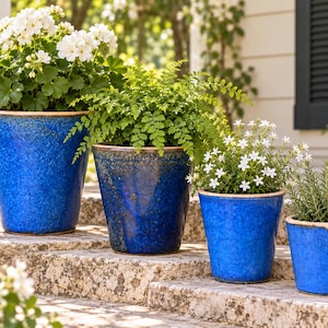 May include: A set of four tapered, glossy cobalt blue ceramic planters with a speckled finish and a light tan rim. Each pot contains a different green plant, including white flowering geraniums, a fern, and a small rosemary shrub.