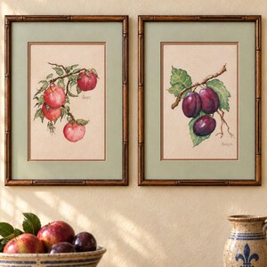 May include: Two framed botanical prints featuring watercolor illustrations of fruit. The left print shows red apples on a branch, and the right print shows purple plums on a branch. Both prints are signed Panger and set in dark brown bamboo-style frames.